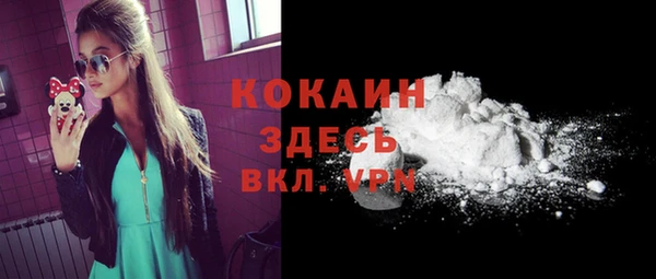2c-b Горно-Алтайск