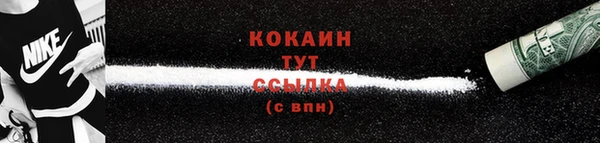 2c-b Горно-Алтайск