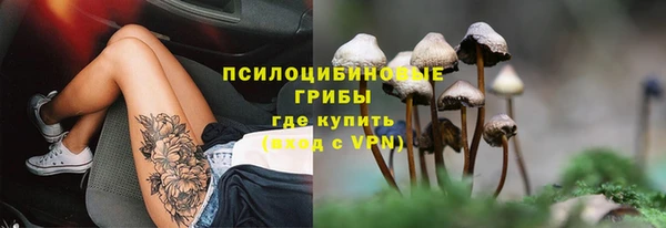 герыч Гусь-Хрустальный