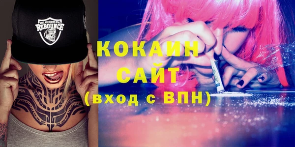 2c-b Горно-Алтайск