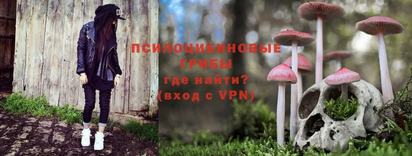 ECSTASY Горнозаводск