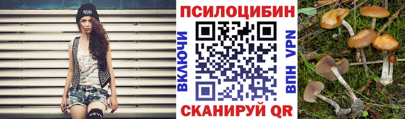 Купить где  Тырныауз  Галлюциногенные грибы прущие грибы 